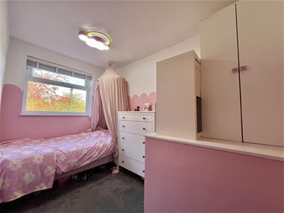 Picture 20